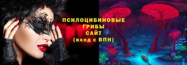 гидропоника Белокуриха