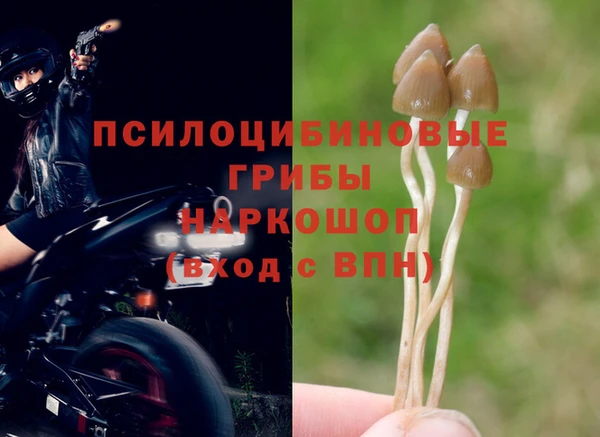 ALPHA PVP Белоозёрский