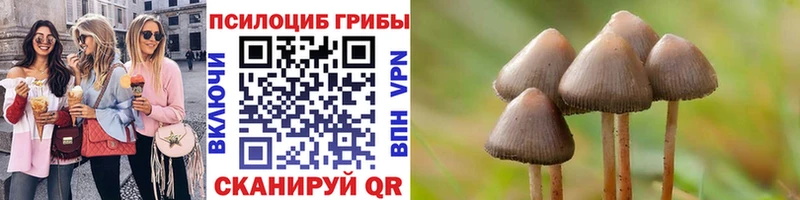 ОМГ ОМГ ТОР  Яранск  Псилоцибиновые грибы GOLDEN TEACHER  цена наркотик 